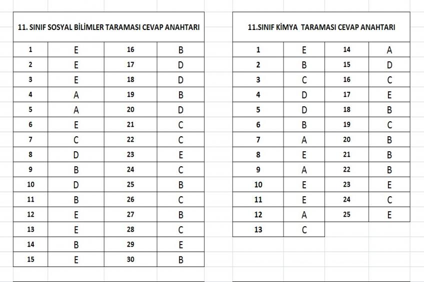 11.Sınıf Tarama Cevap Anahtarı (29.04.2026)